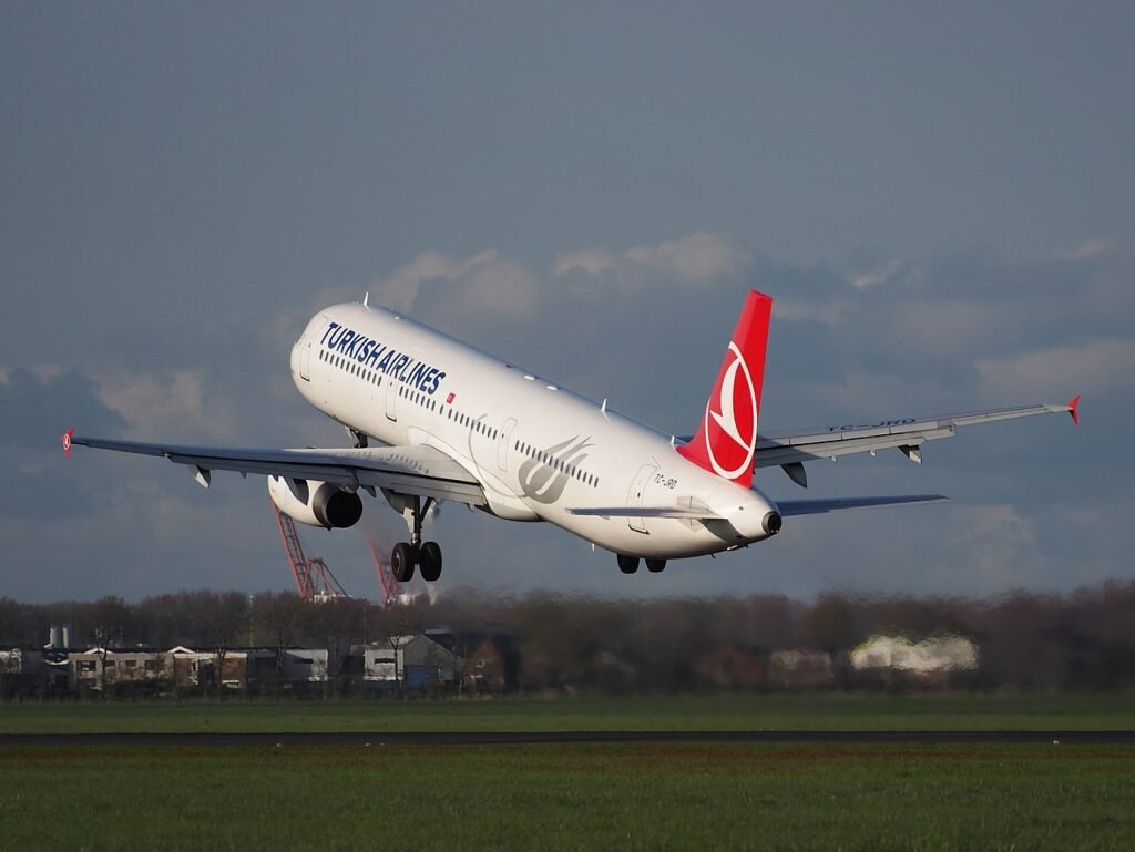 Turkish Airlines Indian